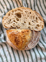 **Coming SOON**Great Northern Bread Flour - Central Milling- 25lb